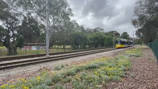 Flexity Adelaide Tram 102 Passing Greenhill Road from Entertainment Centre to Glenelg