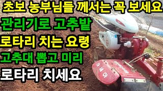 고추밭 미리 퇴비뿌리고  관리기로 로타리 치는기본 원칙이 있습니다