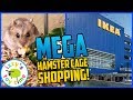 Shopping for a MEGA HAMSTER HABITAT! Izzy's Toy Time Adopted Hamster and Toys