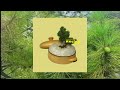 Simmer Pine - 渚 (Official Audio)