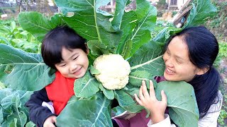 The best way to eat cauliflower, fresh and delicious, endless aftertaste