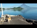 sep 7 2022 morning walk with take and mt mayon