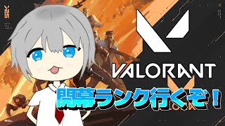 【VALORANT】低音男子のソロコンペ配信！！途中から参加型やるかも！