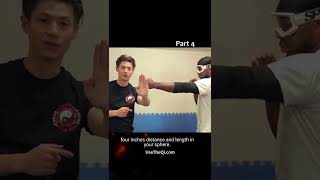 3 Most Dangerous Wing Chun Techniques Part 4 #shorts