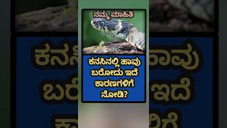 ಕನಸಿನಲ್ಲಿ ಹಾವು // @rnquizcorner #gkkannada #gkkannadaquestionanswer