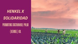 Henkel \u0026 #Solidaridad driving progress toward sustainable palm (kernel) oil