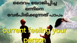 🤝❤️current feeling of your person നിങ്ങളുടെ പേഴ്സൺ നിങ്ങളോടു പറയുന്ന മെസ്സേജ്?