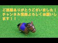 【地方競馬予想】フリオーソレジェンドカップ2023予想　全頭診断／最終予想（８月９日）