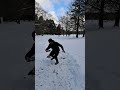 winter disc golf axiom insanity