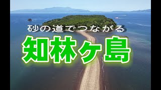 砂の道ができる知林ヶ島