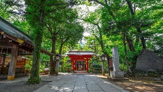 Tokyo Japan Shrine 愛宕神社(Atago Shrine)【Gimbal Shots】