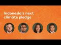 What Indonesia's next climate pledge could do for its people, environment and economy