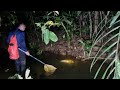 Masuk hutan - Mancar Pamak ( mencari pamak di sungai dalam hutan )