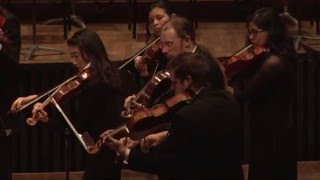 Stravinsky: Concerto in D for String Orchestra | MSU Symphony Orchestra