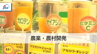 【農業・農村開発】アグロフォレストリー　森をつくる農業　～アマゾン熱帯林との共存～4．農協の役割／世界市場への進出