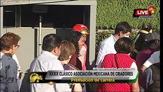 XXXIX Clásico Asociación Mexicana de Criadores y Caballistas de Caballos Cuarto de Milla