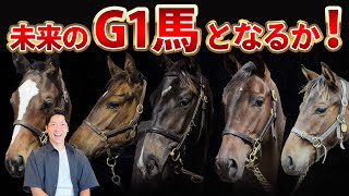 【一口馬主】広尾サラブレッド倶楽部のカタログを見ながら出資馬を選定