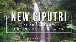 Momotrip Cinematic Tour: 🏕 New Ciputri - Tempat Main Baru di Taman Nasional Gunung Halimun Salak ⛺🏞