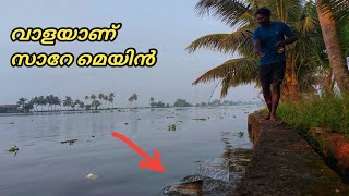 ഇപ്പോള്‍ വാള അടിക്കുന്ന കാലം |Earth Lovers Media |vallago attu fishing