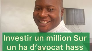 Voici le budget pour se lancer sur un ha D’avocat hass au Cameroun