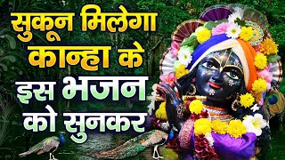 खींच लेगा ये भजन आपको अपनी ओर || Beautiful Krishna Bhajan || कान्हा जी || Latest Krishna Bhajan ||