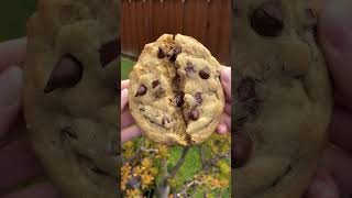 Crumbl Chocolate Chip Cookies (COPYCAT recipe)