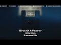 Billie Eilish - Birds of a feather (B-sensual Mix)