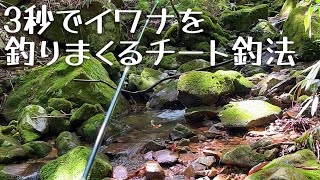 【後編】テンカラで行く渓流釣り！イワナが無限に釣れる危険な釣法『提灯釣り』ドライ編