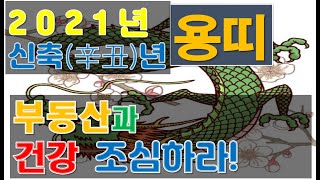 2021년운세  신축년 용띠들은 부동산 투자와 건강을 조심해야 하는 이유/사주팔자/재물운/운세[행운의신사주풍수연구소]