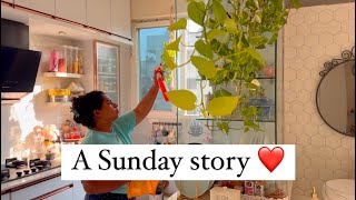 Well spent Sunday || morning to afternoon || cleaning and resting || grocery shopping 🛒 #diml vlogs