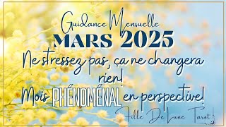 Le COLLECTIF MARS 2025 - Ne stressez pas, ça ne changera rien! Mois phénoménal en perspective!#tarot