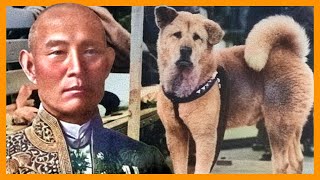 HACHIKO, the story of the faithful dog 🐕⛩️