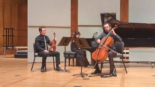 Piano Trio No. 1 in B Major Op. 8 (1854) played by the UC Berkeley Piano Trio