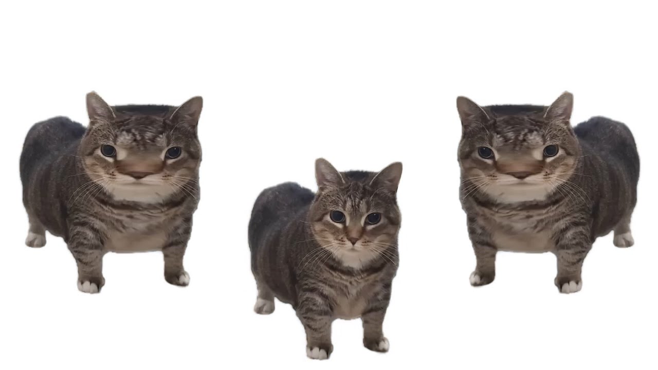 Gwenchana Ding Ding Ding Oiiaoiia Version Youtube