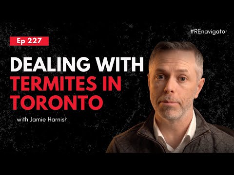 Where are termites in Toronto?