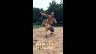 Shaolin Kung Fu Demonstration