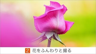 ソニー デジタル一眼カメラα テーマ別撮り方動画 2：花をふんわりと撮る