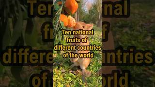 Top 10 National Fruits of the World: A Juicy Dive into Global Delicacies #top10 #NationalFruits