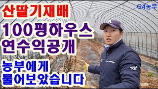 산딸기재배 100평 연수익공개 청년농부에게 물어보았습니다 귀농귀촌 농촌