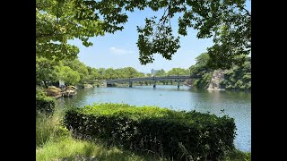 Lost in Nihon 🇯🇵: Osaka Castle’s Beautiful Moat Cruise – A Must-Do in Japan!