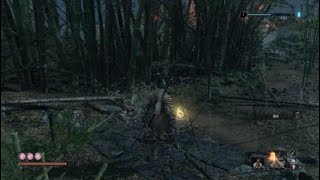 Sekiro (隻狼ogami) 不死斬 測試 忍者老鼠 ps4