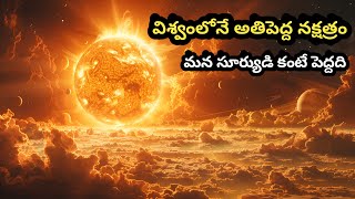 విశ్వంలో తెలిసిన అతి పెద్ద నక్షత్రం | The largest known star in the universe | Think loop