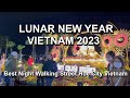 Vietnamese Lunar New Year 2023 🇻🇳 Walking Tour 2023 - Hue City Tour Night View