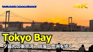 4K【晴海/Harumi】夕焼けの絶景レインボーブリッジを望む晴海・豊洲ぐるり公園を散歩 / Tokyo Sunset Walk at Harumi Tokyo Bay, Rainbow Bridge