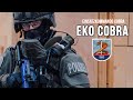 EKO COBRA | Austrian Special Police Unit #1