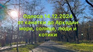 Одесса 14.12.2024.от канатки до Аркадии.Море, солнце, люди и котики.