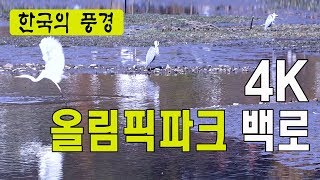 올림픽파크 백로, Gymnopedie No1, 4K