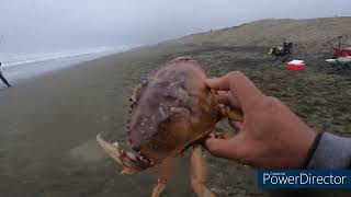 Ocean Beach crabbing.. Day Trip