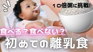 【生後5ヶ月】初めての離乳食を食べた赤ちゃん♡10倍粥🍚をあげてみた！ブレンダーで時短作り〜食べた反応まで【離乳食初期】