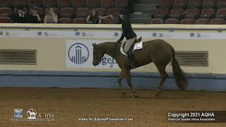 2021 AQHA Youth 13-\u0026-Under Hunt Seat Equitation